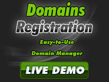 Budget domain name service providers